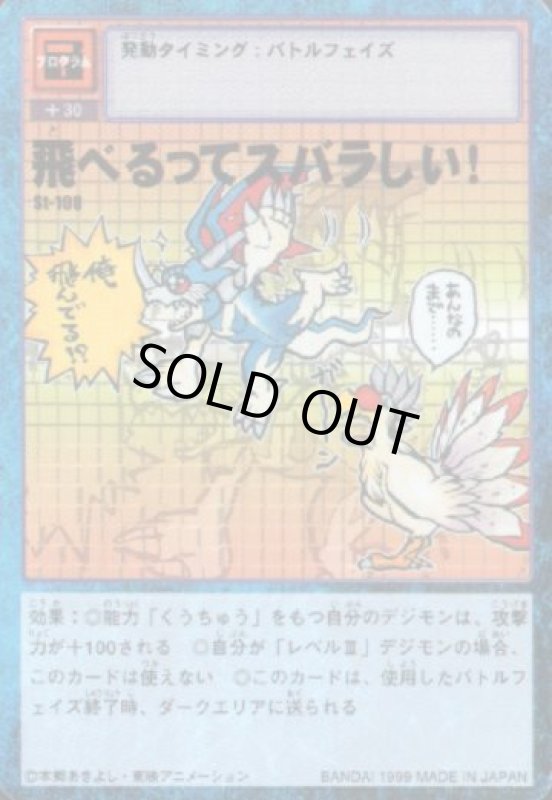 画像1: 飛べるってスバラしい！ (1)