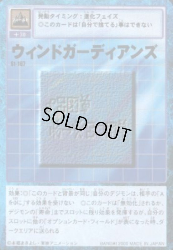 画像1: ウィンドガーディアンズ (1)