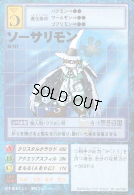 画像1: ソーサリモン (1)