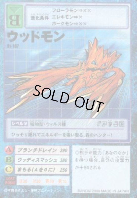 画像1: ウッドモン (1)