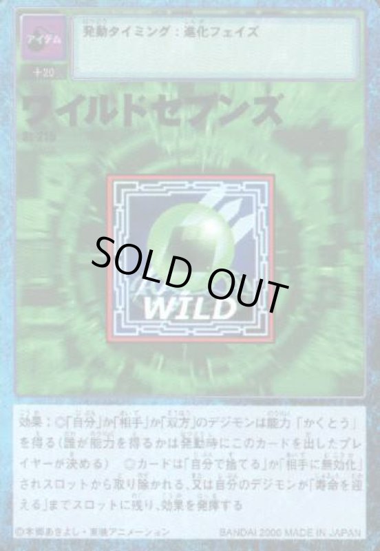 画像1: ワイルドセブンズ (1)