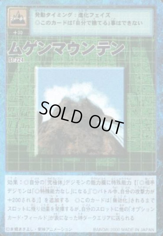 画像1: ムゲンマウンテン (1)