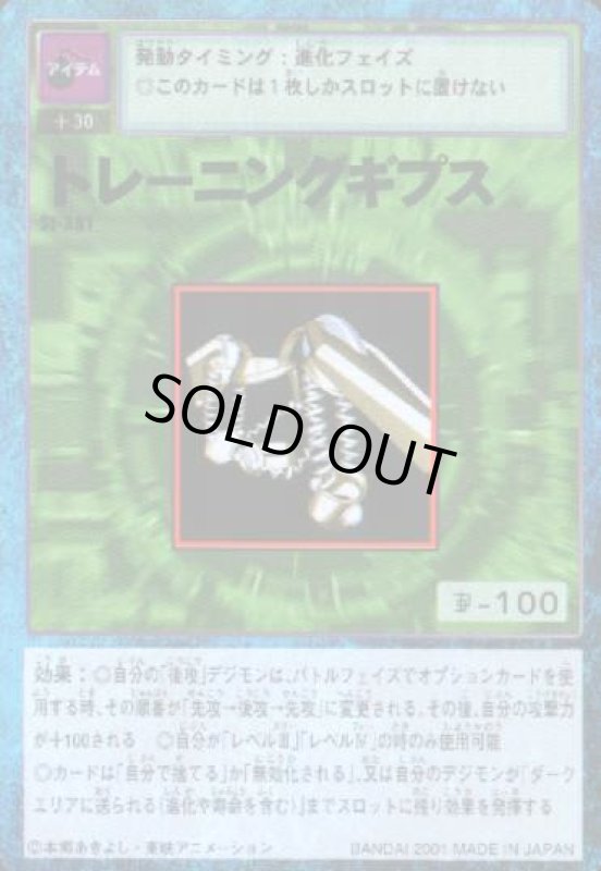 画像1: トレーニングギプス (1)