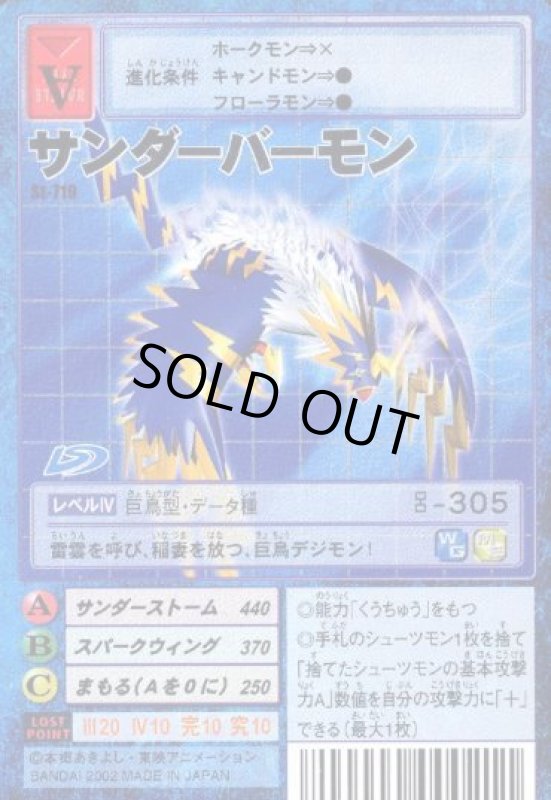 画像1: サンダーバーモン (1)
