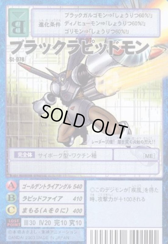 画像1: ブラックラピッドモン (1)