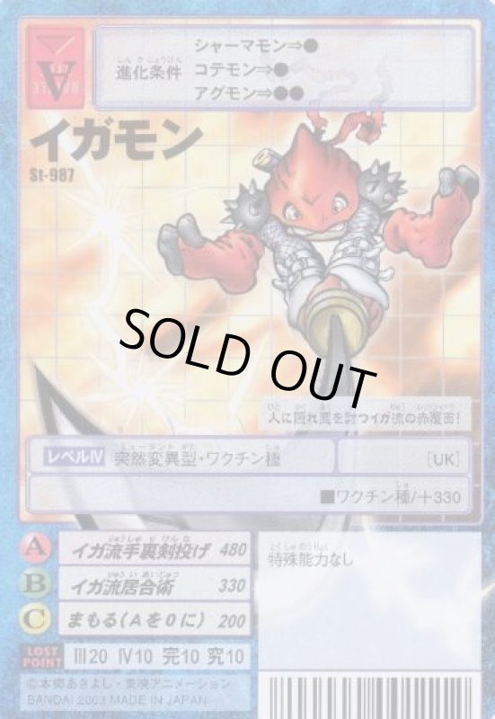 画像1: イガモン (1)